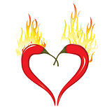 Two chili peppers forming a shape of heart. Hot lover symbol.