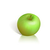 Vector illustration of green apple