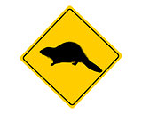 Beaver warning sign