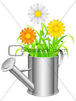 Watering can and flowers.