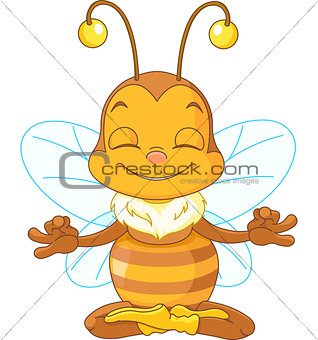 Meditating Bee
