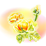 Flower frame background, watercolor