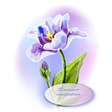 Purple tulip, watercolor painting.