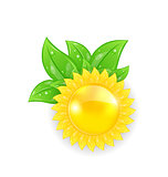 Abstract sun with green leaves, isolated on white background
