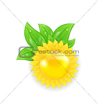 Abstract sun with green leaves, isolated on white background