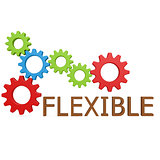 Flexible gear