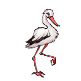 Vector illustration of stork in cartoon style
