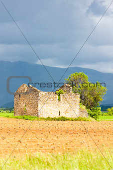 field with a ruin of house and tree, Plateau de Valensole, Prove