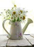 bouquet of fresh daisies camomile on a wooden background