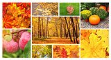 Set of photos with autumn leaves and apples
