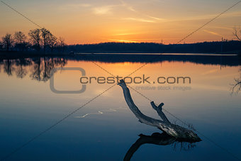 Snag in the lake against a sunset