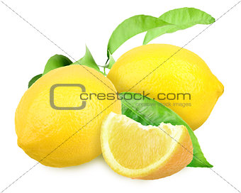 Fresh yellow lemons with green leaf