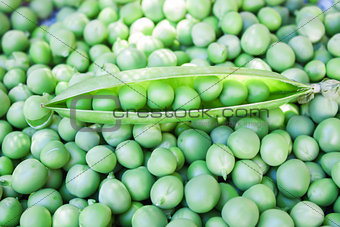 Fresh cleaned peas closeup
