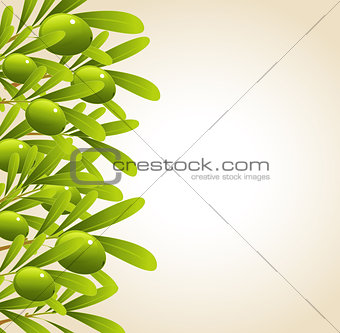 Green olive branches