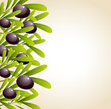 Green olive branches and black olives