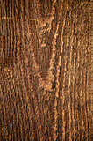 Detail of wood timber with rough structure