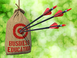 Business Education - Arrows Hit in Red Mark Target.