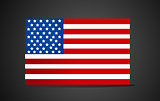 Vector American Flag