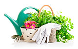 flowers and green plants for gardening with garden tools