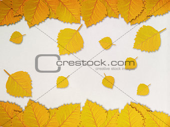 Yellow leaves frame
