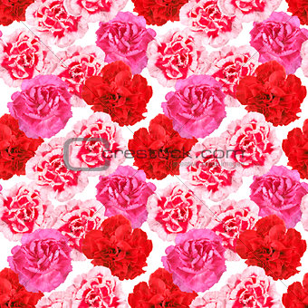 Seamless pattern of carnations flowers