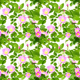 Seamless pattern of dog-roses flowers