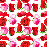 Seamless pattern of roses flowers
