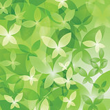 background with green butterflies.