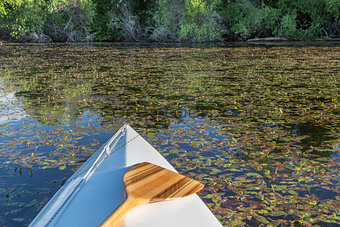 canoe bow with paddle