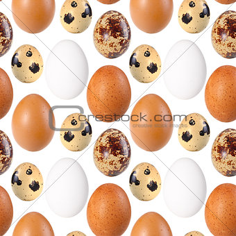 Seamless pattern of birds eggs