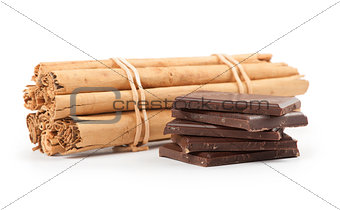 Broken chocolate bar and spices