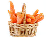 Carrot in Basket