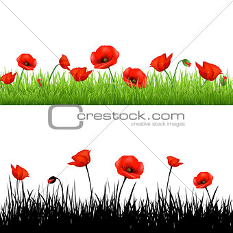 Border With Grass And Poppy