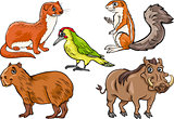 wild animals set cartoon illustration