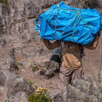 Porter on Kilimanjaro