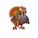 Vector illustration of turkey in cartoon style