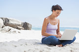 Pretty brunette using laptop on the beach