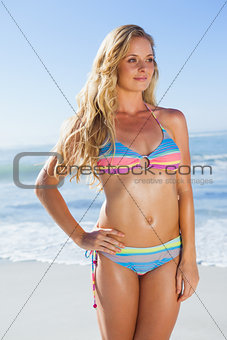Gorgeous blonde in bikini on the beach smiling at camera