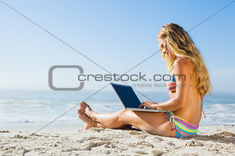 Gorgeous blonde in bikini using laptop on the beach