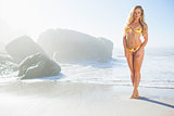 Gorgeous blonde in bikini standing on the beach