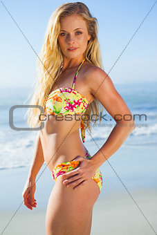 Gorgeous blonde in bikini standing on the beach