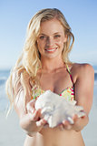 Pretty blonde in bikini holding conch on the beach