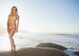 Gorgeous blonde in bikini posing on a rock at the beach