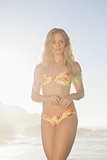 Gorgeous blonde in bikini posing at the beach