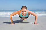 Fit woman in plank position on the beach