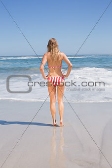 Rear view of fit woman in bikini on the beach