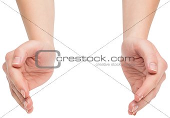 Hands presenting
