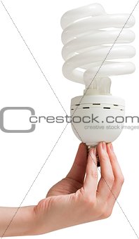 Hand holding energy efficient light bulb
