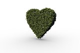 Heart made of leaves