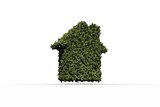 House shape made of leaves